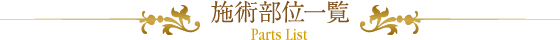 施術部位一覧